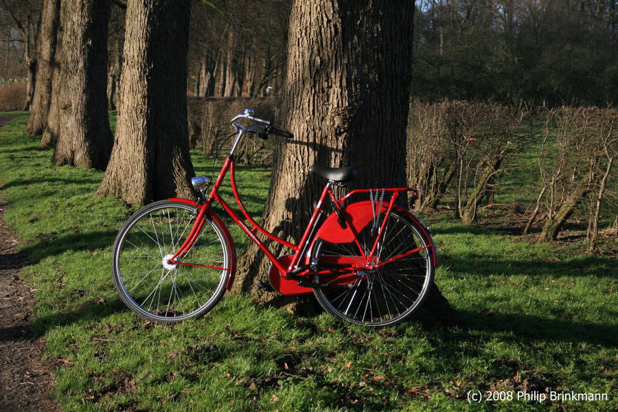 Rotes Fahrrad am Baum von phifotos.de Galerie heise Foto