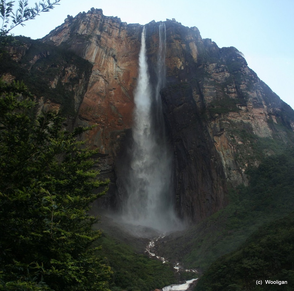 Angel Salto Venezuela