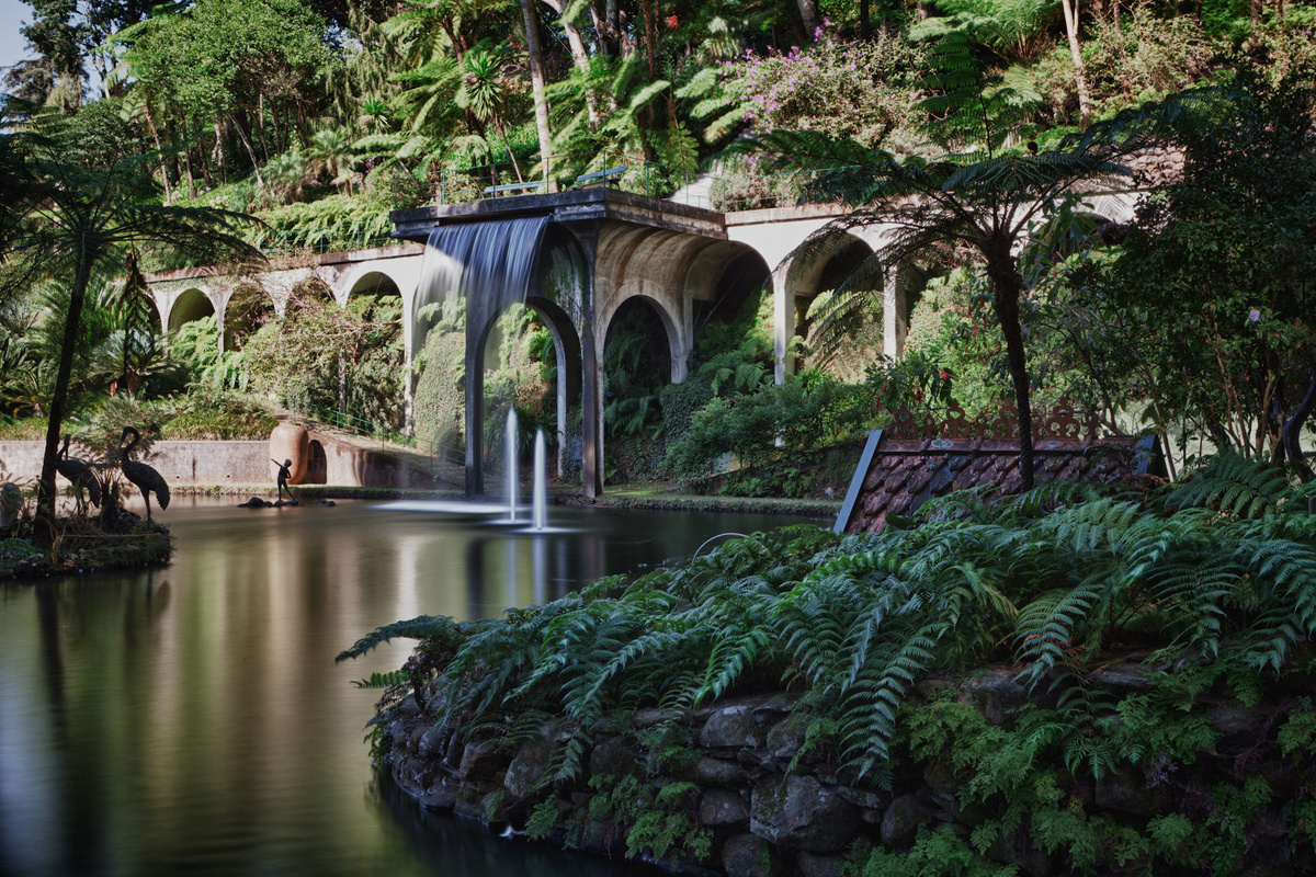 Botanischer Garten Madeira von Marju0815 Galerie heise