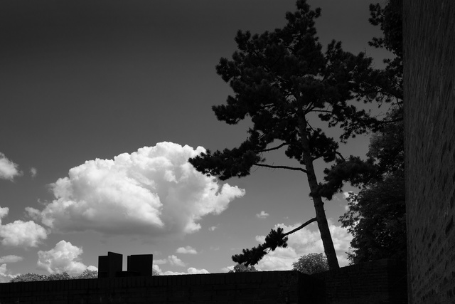 Wolken, Himmel und ein Baum.