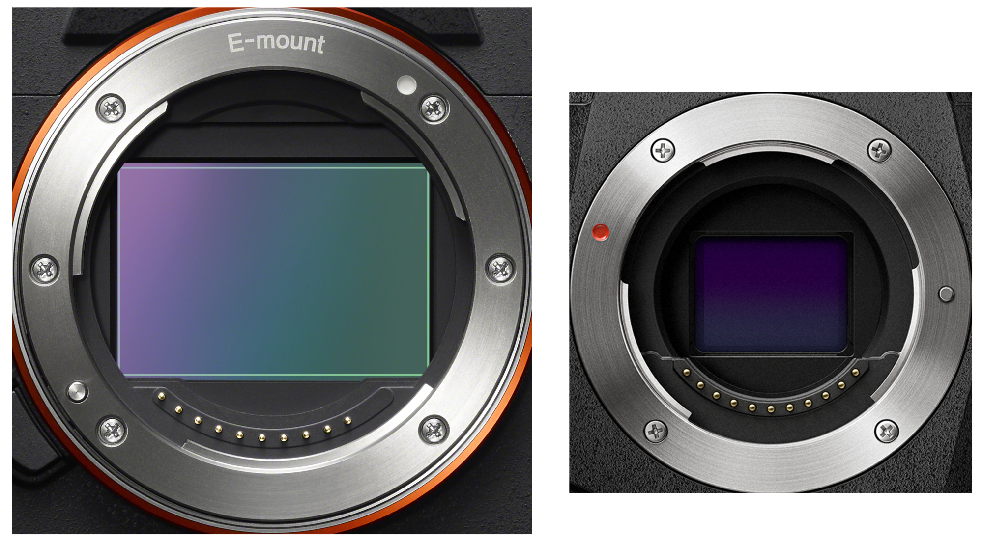 Micro-Four-Thirds: Das vielseitige spiegellose Kamerasystem im Überblick |  heise online