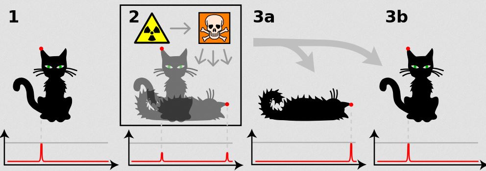Der fast sichere Tod für Schrödingers Katze | Telepolis