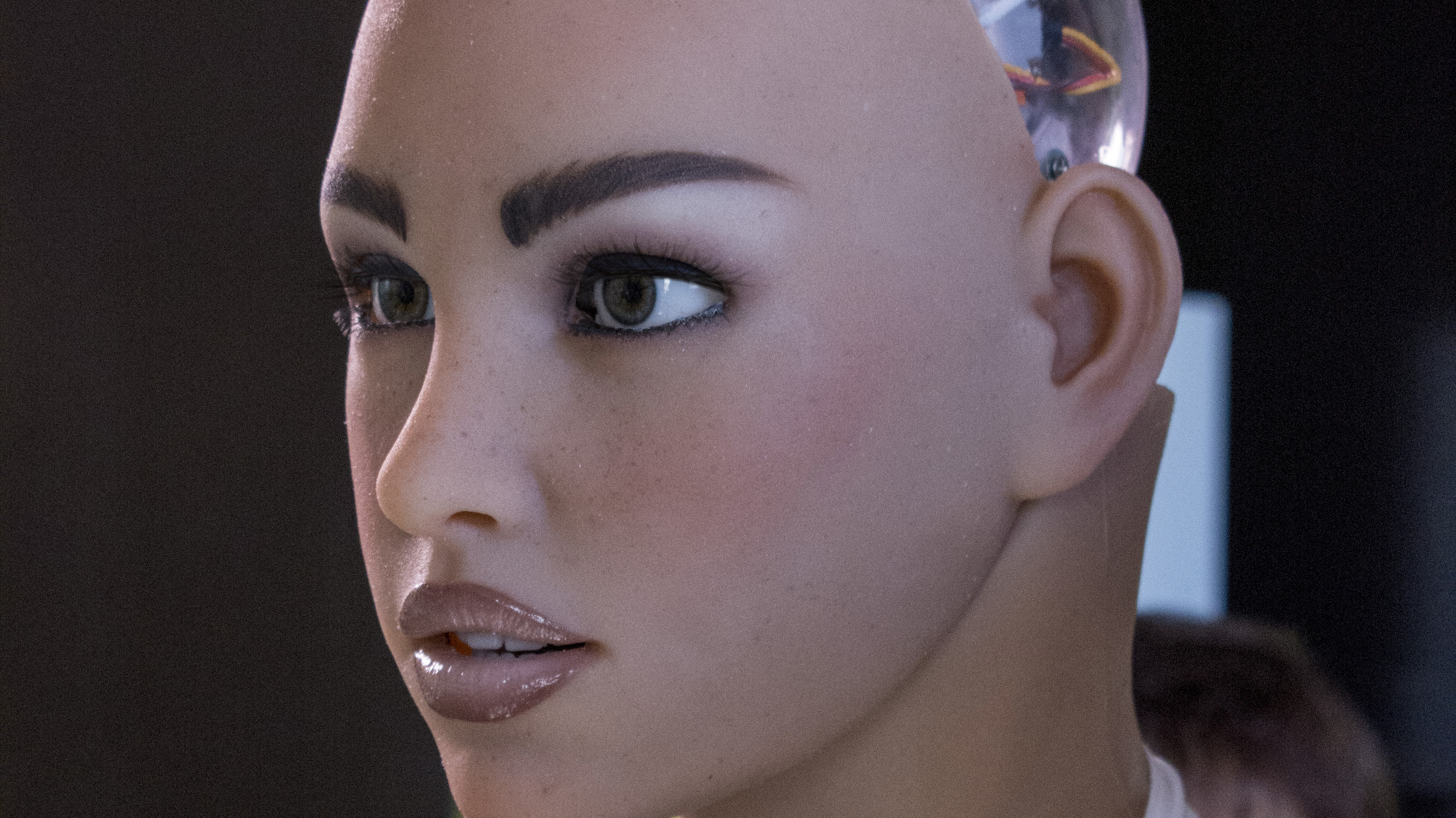 Human-Robot Interaction: "Robo-Rassismus" und Sex mit Maschinen | heise  online
