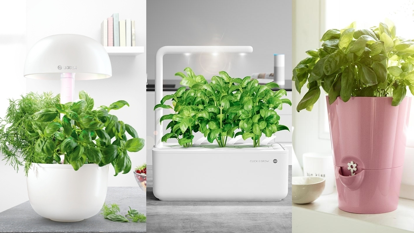 Smart Indoor Garden vs. Blumentopf im Live-Test: Hier wächst das Basilikum  | heise online