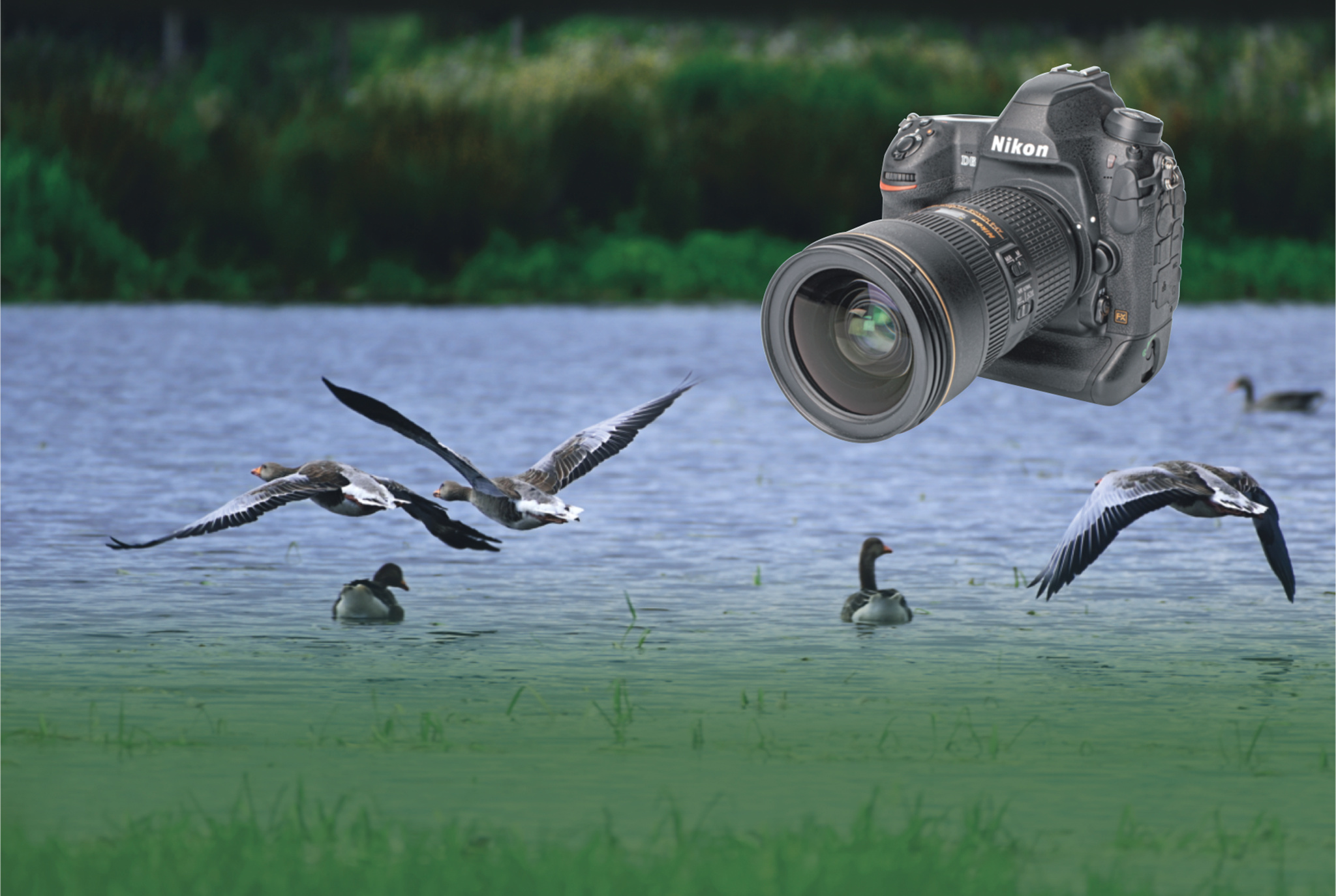 Nikon D6 – Profi-Kamera für Sport, Reportage und Wildlife | c't Fotografie  | Heise Magazine